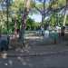 A Carrassi sono presenti due grandi aree di sgambamento: una creata nel 2020 allinterno del Parco 2 giugno, la seconda inaugurata nel 2023 in una zona del Parco Rossani. La prima  probabilmente la pi ospitale di tutta la citt
